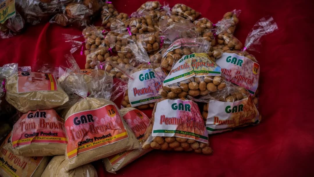 Initiative 1 — Image 1